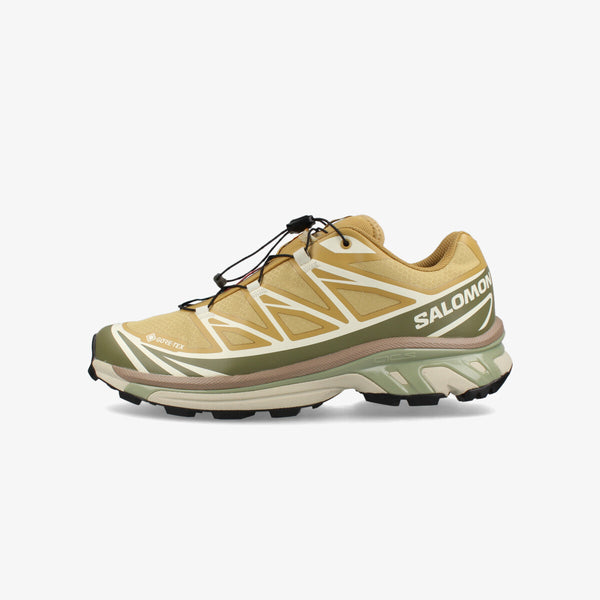 SALOMON XT-6 GTX ANTELOPE/ICICLE/PORTABELLA -GORE-TEX-