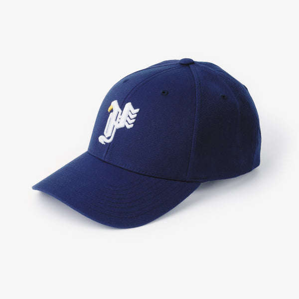 raidback fabric R Eagle Snapback Cap NAVY raid-cvscap-rc-01-nvy