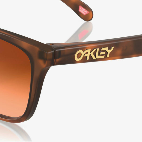 OAKLEY SUNGLASS FROGSKINS MATTE BROWN TORTOISE/PRIZM BROWN GRADIENT 【ASIAN FIT】